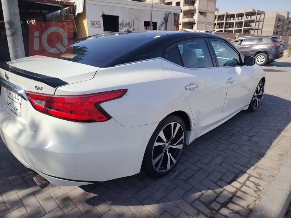 نيسان ماكسيما